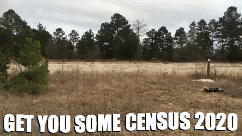 Get Some Census 2020